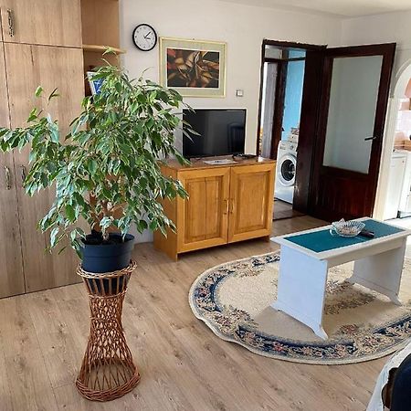 Micin Dom Apartment Pirot Exterior foto