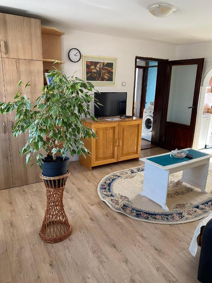 Micin Dom Apartment Pirot Exterior foto